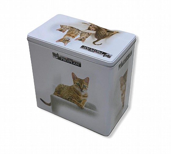 ��  ����� ���� ��  3 �"� 