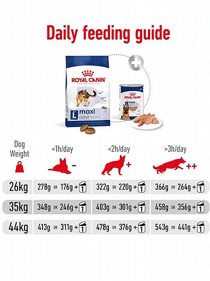 ����� ���� Royal Canin ���� ����� 12�"�