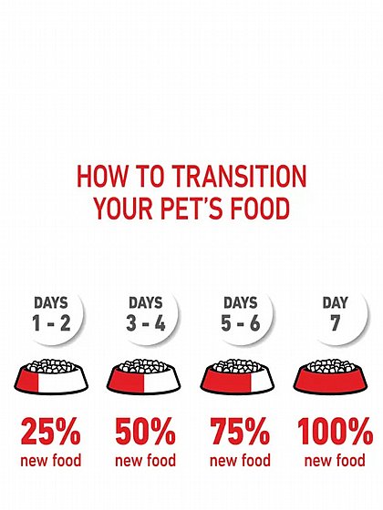����� ���� Royal Canin ����� ������ 15 �"� 