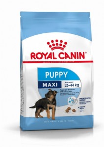 רויאל קנין Royal Canin מקסי ג'וניור 15 ק"ג רויאל קנין Royal Canin מקסי ג'וניור 15 ק"ג