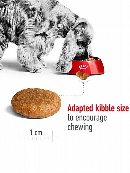 ����� ���� Royal Canin ����� ����� 15 �"�