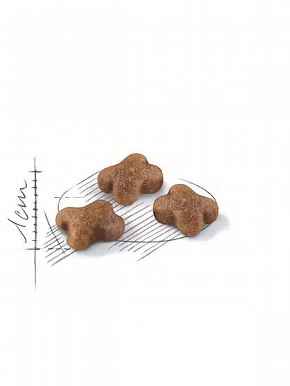 ����� ���� Royal Canin ���� 2 �"�