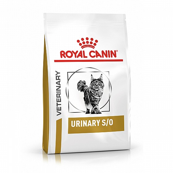 ����� ���� Royal Canin ���� ��� ���� ����� 1.5 �"�