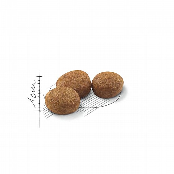 ����� ���� Royal Canin �������� 2 �"�