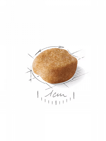 ����� ���� Royal Canin �������� 3 �"�