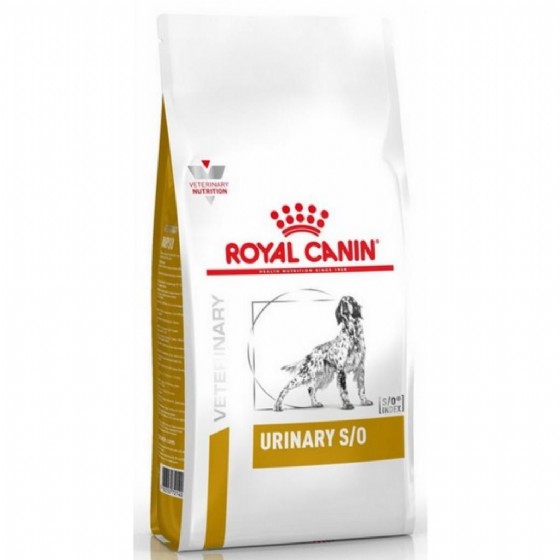 ����� ���� Royal Canin ���� ��� ��� 13 �"�