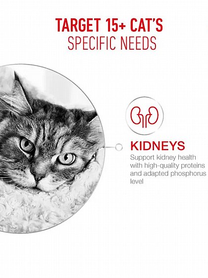 ����� ���� Royal Canin ������� ���� 15+ 4 �"�