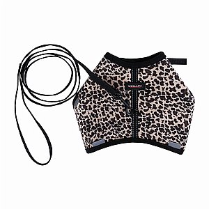 ���� ��� ������� + ����� ����� ���� ���� - 120 �"� ��� �����