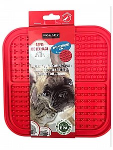 ���� ����� ����� ����� ���� - ��� ���� - ���� ���� 