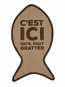 ���� ����� ���� ������� ������ �� - 55�31 �"� �� ���� 