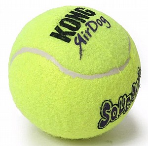 כדור קונג סקוויקר L כדור קונג סקוויקר L