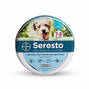 ���� ������ ����� ��� ���  �� 8 �"�