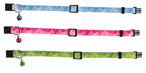 ���� ����� ������ 41570