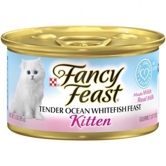 ���� ����  Fancy Feast ���� ��������� 85 ���