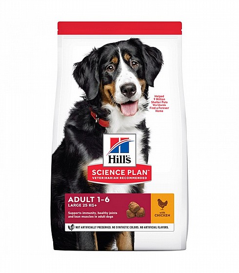 ����� - Hills ���� ��� ������ ������ ��� ���� ���� ��� 12 �"�