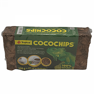 �����'��� - ���� ����� ������ ������� 500 ���