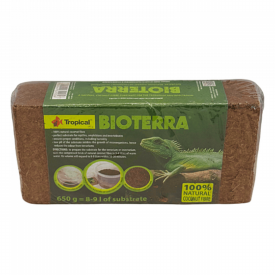 ������ ��� ����� ���� ������� 650 ���