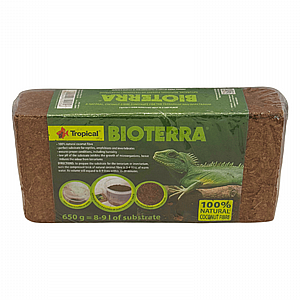 ������ ��� ����� ���� ������� 650 ���