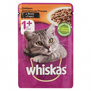 ���� ����� ���