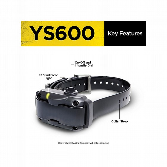 ���� ������ ������ YS600 ���� 