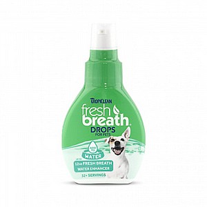 ����� ������ ����� ���������