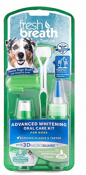 ���� ����� ��� ���������