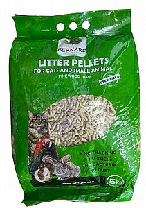 ���� �� Bernard ���� 5 �"� 