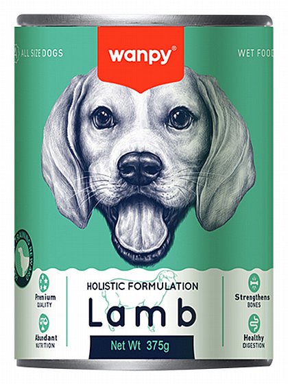 ����� Wanpy ���� ��� ��� 375 ���