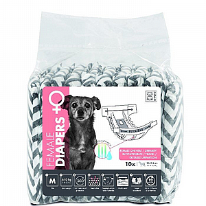 ����� ����� ������ ���� M