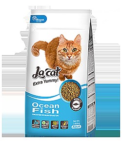 �� �� - la cat  ���� ��� �����  ���� 7 �"�