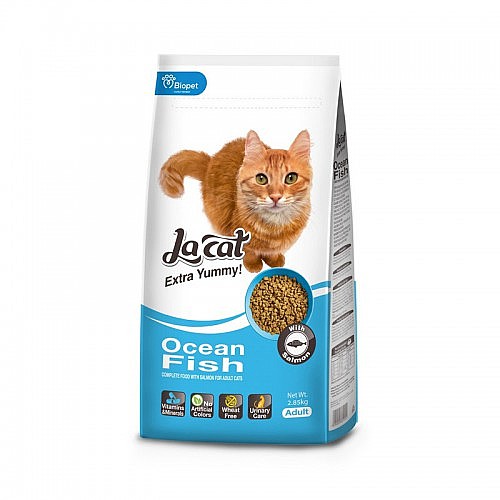 �� �� - la cat  ���� ��� �����  ���� 1.5 �"�