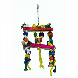 ����� ����� ���� ����� ���� 