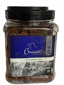 ���� Cnaan ������ �����