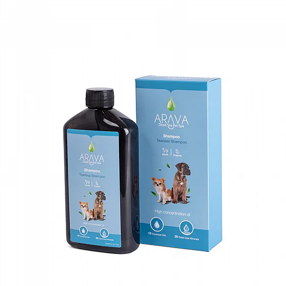���� Arava ������ �� ��� 400 �"�