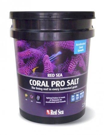 �� ��� CORAL PRO ���� 11220