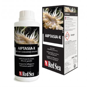 ���� ��� ��������