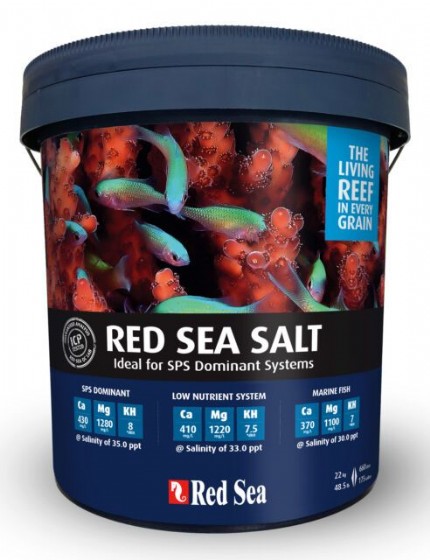 �� ��� RED SEA ���� 11065