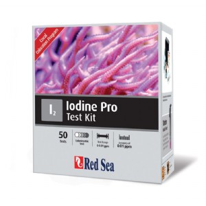 ���� ����� ���