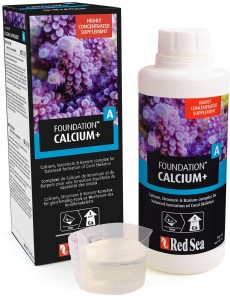 ריף פאונדיישן A ריף פאונדיישן A