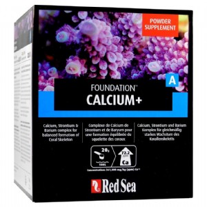 ��� ��������� A ����