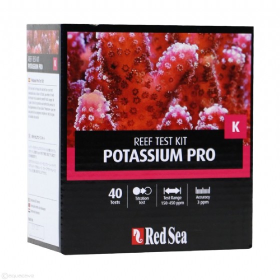 ���� ����� ����� (�������)