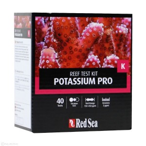 ���� ����� ����� (�������)