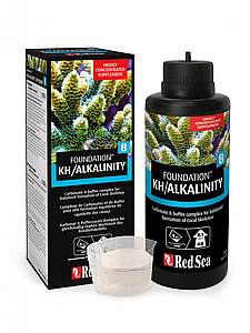 ריף פאונדיישן B אלקלני 22024 ריף פאונדיישן B אלקלני 22024