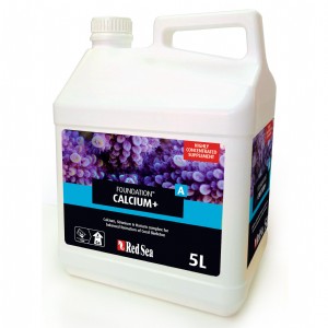 ריף פאונדיישן A (חמש ל') 22015 ריף פאונדיישן A (חמש ל') 22015