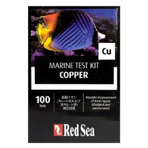 ���� ����� ����