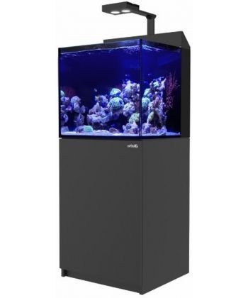 �������� -MAX-E ���� RED SEA