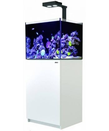 �������� RED SEA MAX-E ��� 170