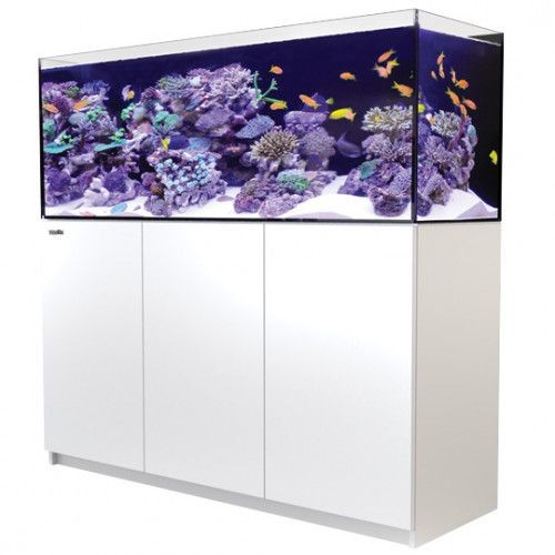 �������� ���� 425 ���