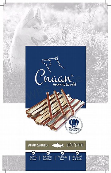 ���� Cnaan ���� �������  ����� 100 ��� 