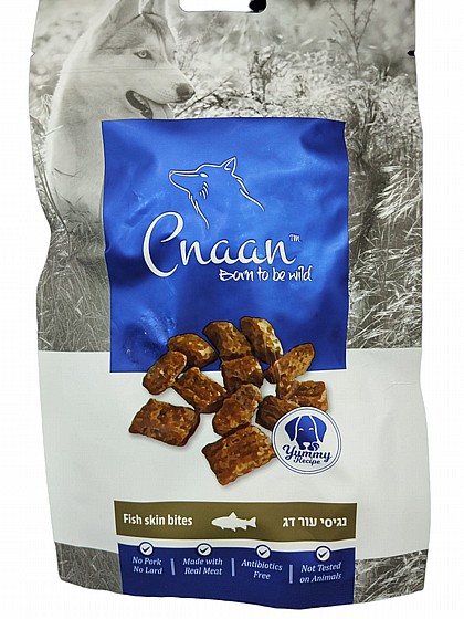���� Cnaan ���� ����� ��� �� 60 ���